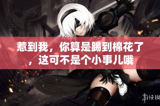 惹到我，你算是踢到棉花了，这可不是个小事儿哦
