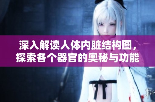 深入解读人体内脏结构图，探索各个器官的奥秘与功能
