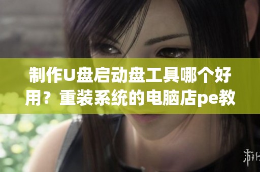 制作U盘启动盘工具哪个好用？重装系统的电脑店pe教程详解