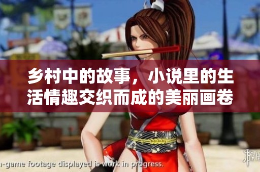 乡村中的故事，小说里的生活情趣交织而成的美丽画卷