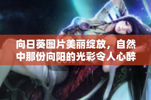 向日葵图片美丽绽放，自然中那份向阳的光彩令人心醉神迷
