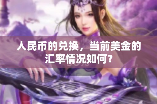 人民币的兑换，当前美金的汇率情况如何？