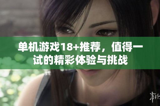 单机游戏18+推荐，值得一试的精彩体验与挑战