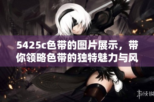 5425c色带的图片展示，带你领略色带的独特魅力与风采。