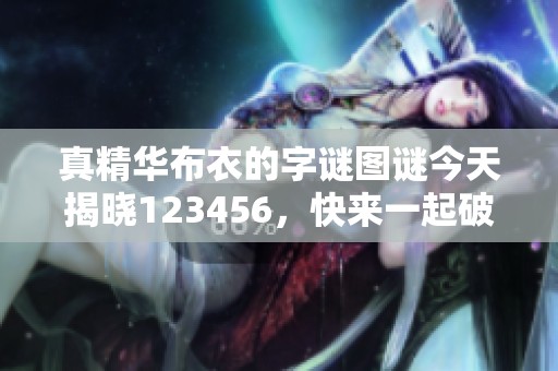 真精华布衣的**图谜今天揭晓123456，快来一起破解这有趣的谜题吧