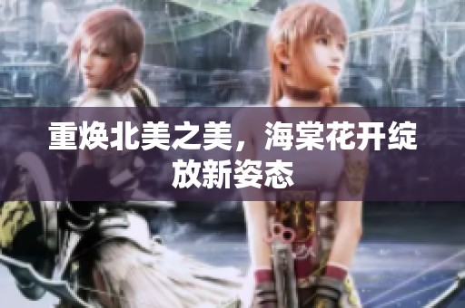 重焕北美之美，海棠花开绽放新姿态