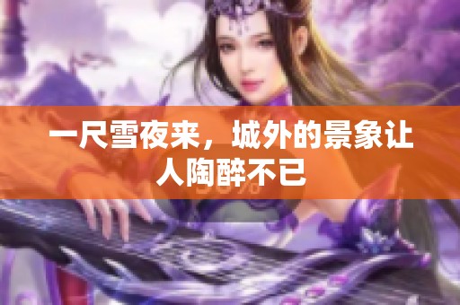 一尺雪夜来，城外的景象让人陶醉不已