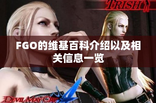 FGO的维基百科介绍以及相关信息一览
