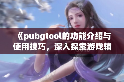 《pubgtool的功能介绍与使用技巧，深入探索游戏辅助工具的魅力》