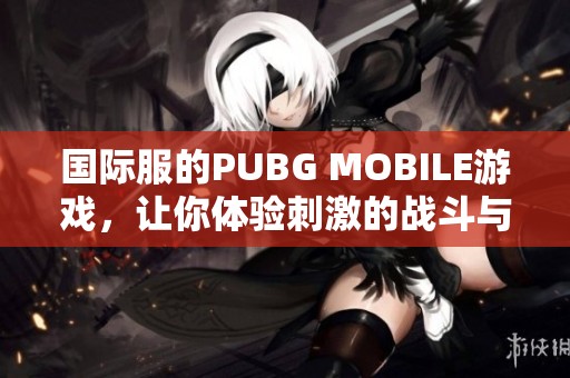 国际服的PUBG MOBILE游戏，让你体验刺激的战斗与策略乐趣