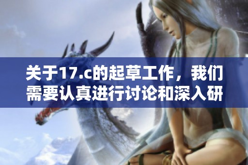 关于17.c的起草工作，我们需要认真进行讨论和深入研究。