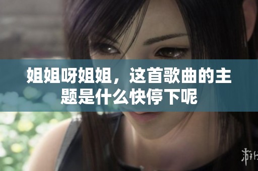 姐姐呀姐姐，这首歌曲的主题是什么快停下呢