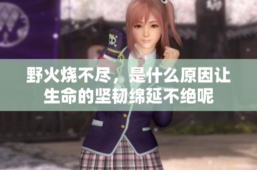 野火烧不尽，是什么原因让生命的坚韧绵延不绝呢