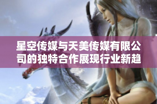 星空传媒与天美传媒有限公司的独特合作展现行业新趋势