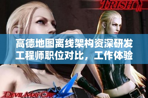 高德地图离线架构资深研发工程师职位对比，工作体验与发展前景如何