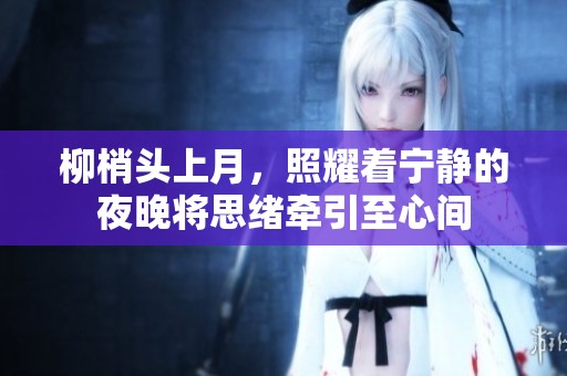 柳梢头上月，照耀着宁静的夜晚将思绪牵引至心间