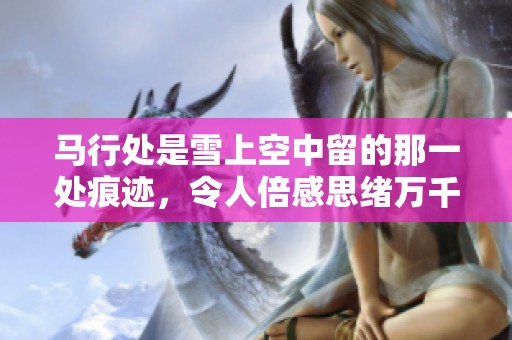 马行处是雪上空中留的那一处痕迹，令人倍感思绪万千