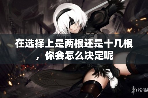 在选择上是两根还是十几根，你会怎么决定呢