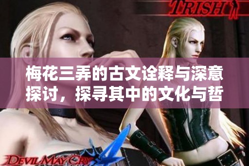 梅花三弄的古文诠释与深意探讨，探寻其中的文化与哲思之美
