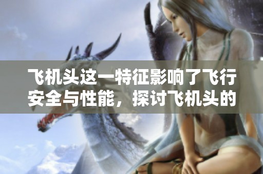 飞机头这一特征影响了飞行安全与性能，探讨飞机头的设计与功能。