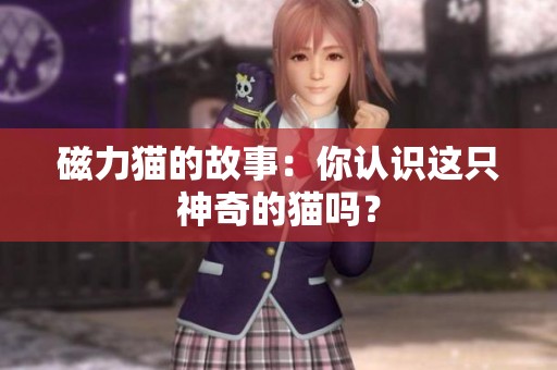 磁力猫的故事：你认识这只神奇的猫吗？