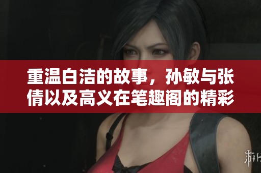 重温白洁的故事，孙敏与张倩以及高义在笔趣阁的精彩相遇