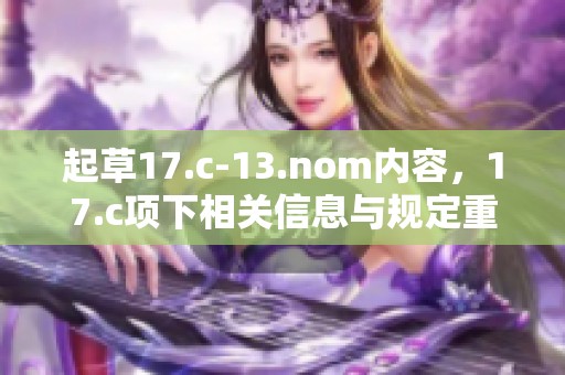 起草17.c-13.nom内容，17.c项下相关信息与规定重写整理