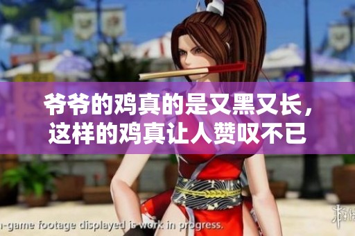 爷爷的鸡真的是又黑又长，这样的鸡真让人赞叹不已