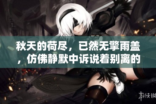 秋天的荷尽，已然无擎雨盖，仿佛静默中诉说着别离的时光