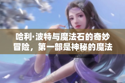 哈利·波特与魔法石的奇妙冒险，第一部是神秘的魔法石（港台）