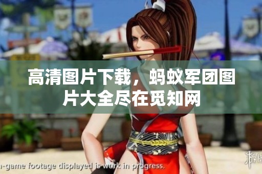 高清图片下载，蚂蚁军团图片大全尽在觅知网