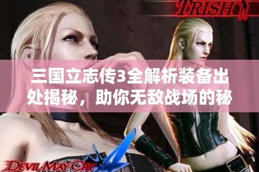 三国立志传3全解析装备出处揭秘，助你无敌战场的秘密武器！