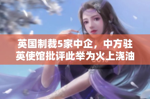 英国制裁5家中企，中方驻英使馆批评此举为火上浇油的行为