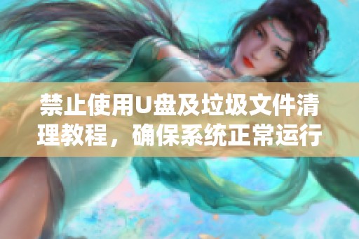 禁止使用U盘及垃圾文件清理教程，确保系统正常运行的有效策略