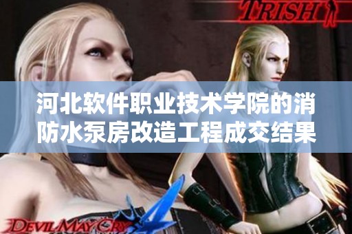 河北软件职业技术学院的消防水泵房改造工程成交结果已公告发布