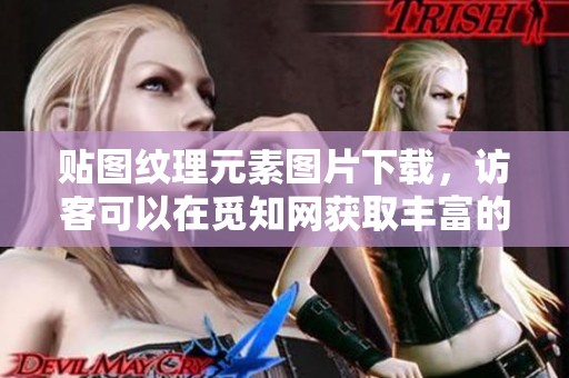 贴图纹理元素图片下载，访客可以在觅知网获取丰富的贴图纹理素材
