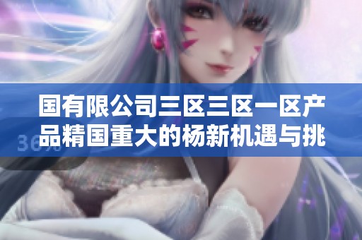 国有限公司三区三区一区产品精国重大的杨新机遇与挑战