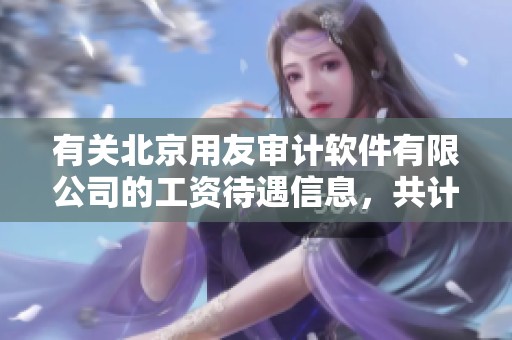 有关北京用友审计软件有限公司的工资待遇信息，共计8条内容详解在职朋职业圈中