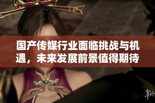 国产传媒行业面临挑战与机遇，未来发展前景值得期待