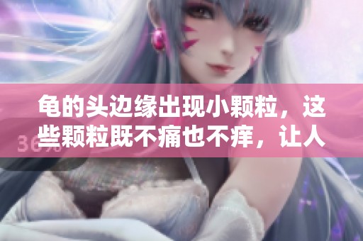 龟的头边缘出现小颗粒，这些颗粒既不痛也不痒，让人感到担忧。