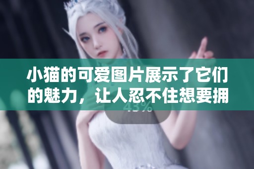 小猫的可爱图片展示了它们的魅力，让人忍不住想要拥有一只可爱的小猫。