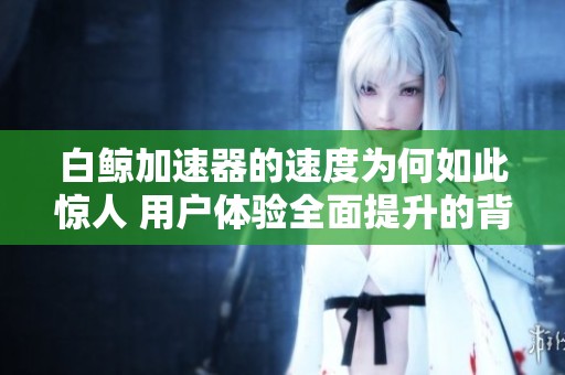 白鲸加速器的速度为何如此惊人 用户体验全面提升的背后原因解析