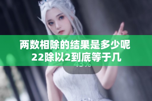 两数相除的结果是多少呢 22除以2到底等于几