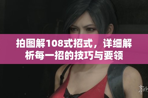 拍图解108式招式，详细解析每一招的技巧与要领