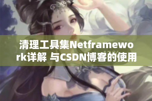 清理工具集Netframework详解 与CSDN博客的使用指南