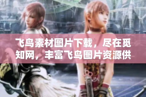 飞鸟素材图片下载，尽在觅知网，丰富飞鸟图片资源供您选择