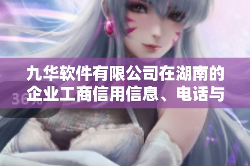 九华软件有限公司在湖南的企业工商信用信息、电话与地址，法人信息详解