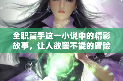 全职高手这一小说中的精彩故事，让人欲罢不能的冒险旅程