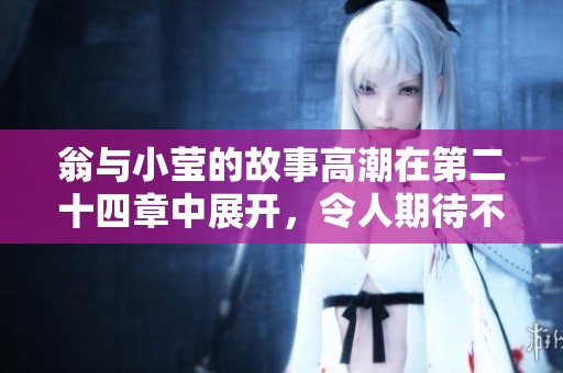翁与小莹的故事高潮在第二十四章中展开，令人期待不已的情节令人陶醉