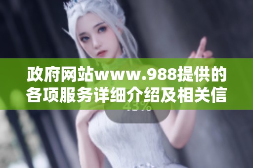 政府网站www.988提供的各项服务详细介绍及相关信息解读